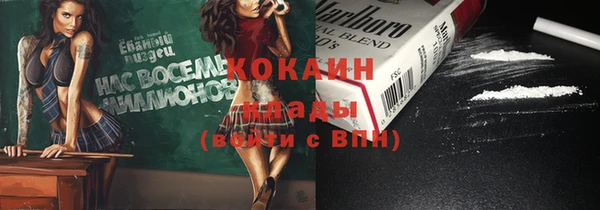 индика Богданович