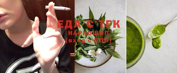 индика Богданович