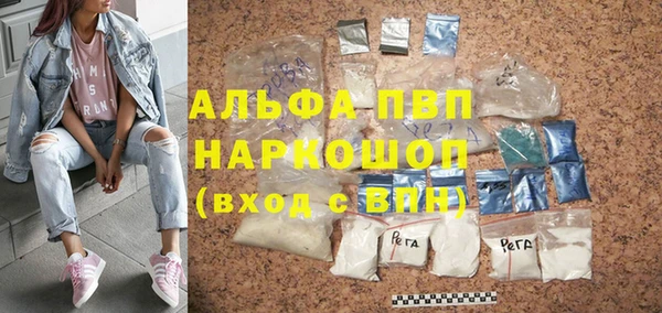 индика Богданович