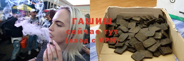 индика Богданович