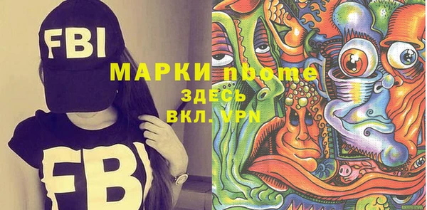 индика Богданович