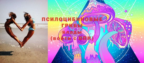 индика Богданович