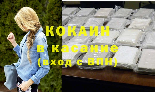 индика Богданович
