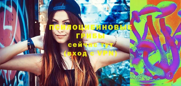 индика Богданович