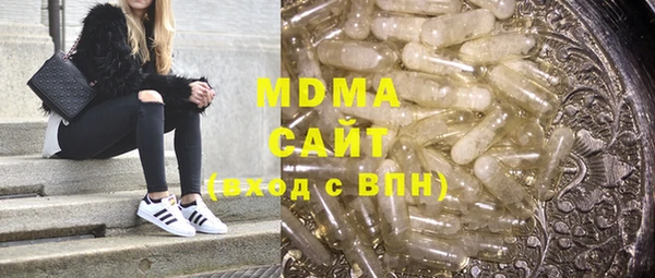 индика Богданович