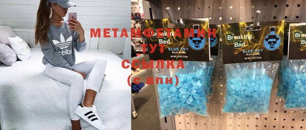 индика Богданович
