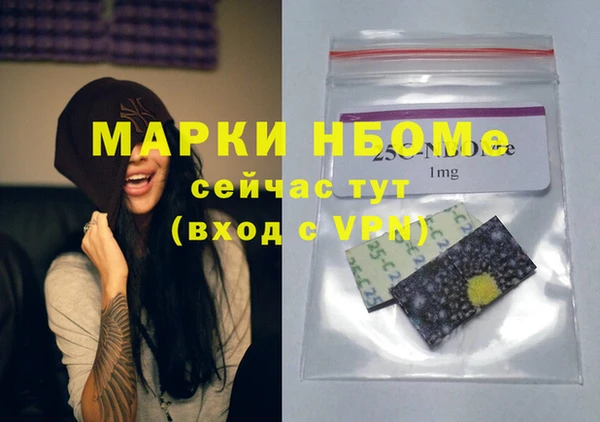 шишки Богородск