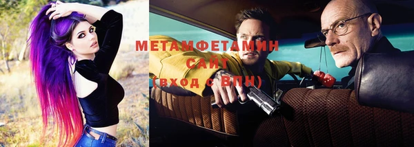 индика Богданович