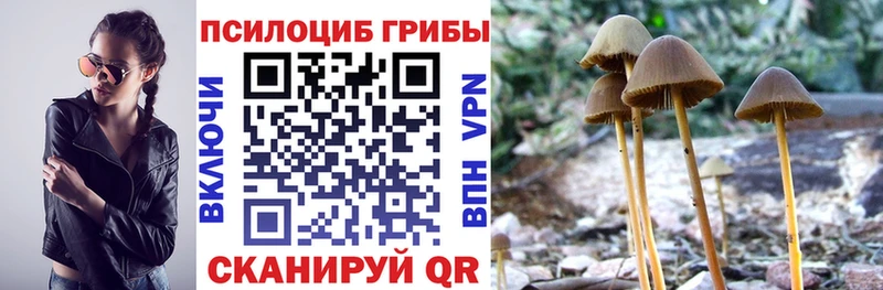 Псилоцибиновые грибы Magic Shrooms  хочу наркоту  Тихорецк 